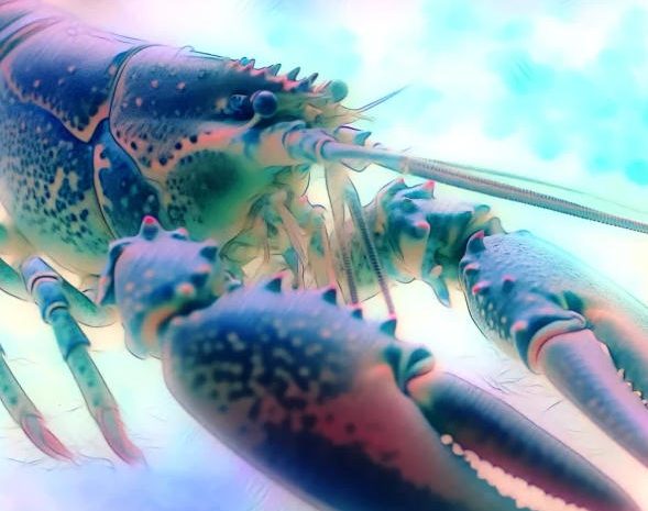 랍스터 꿈은 무슨 뜻인가요? 꿈과 해석