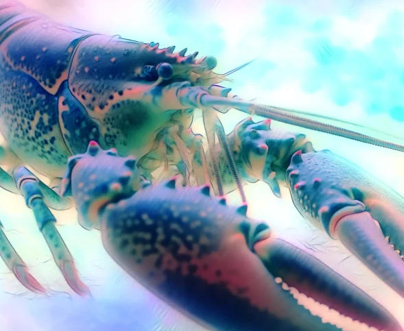 랍스터 꿈은 무슨 뜻인가요? 꿈과 해석