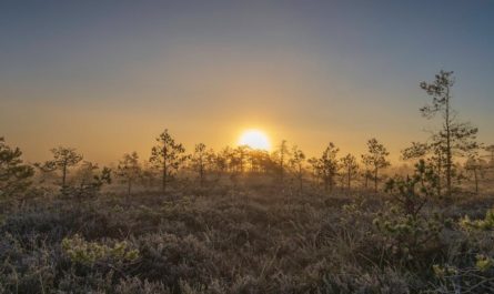 【꿈해몽】밤에서 이른 아침까지의 꿈: 6가지 의미와 상징