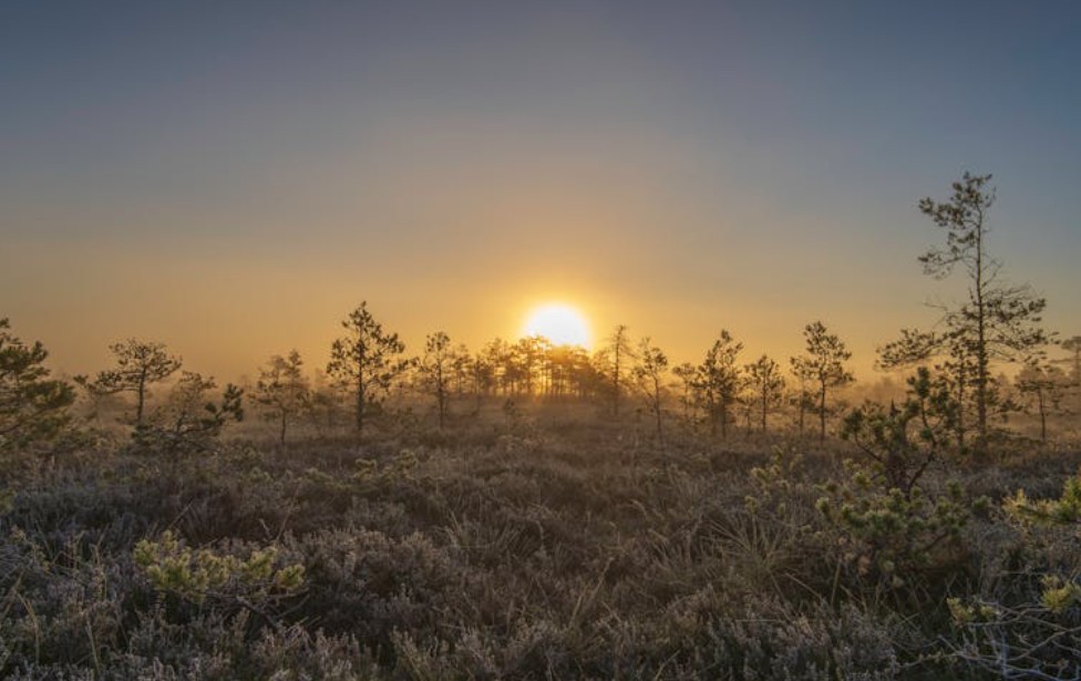 【꿈해몽】밤에서 이른 아침까지의 꿈: 6가지 의미와 상징