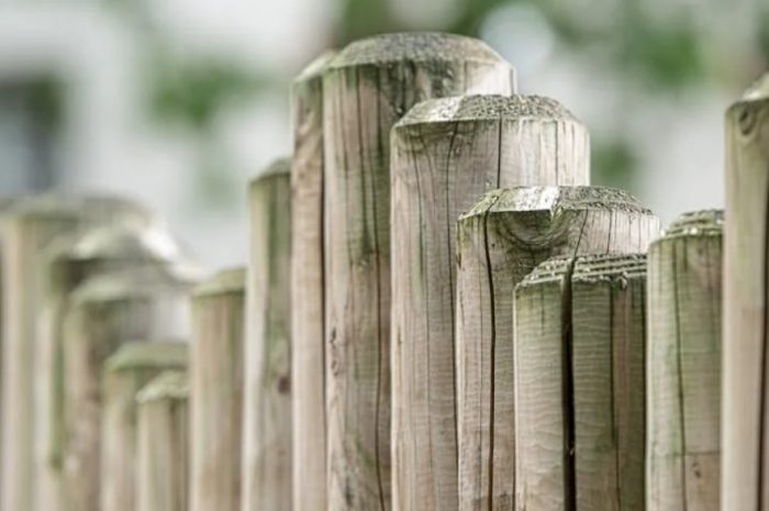 【꿈해몽】울타리를 오르는 꿈: 9가지 의미와 상징