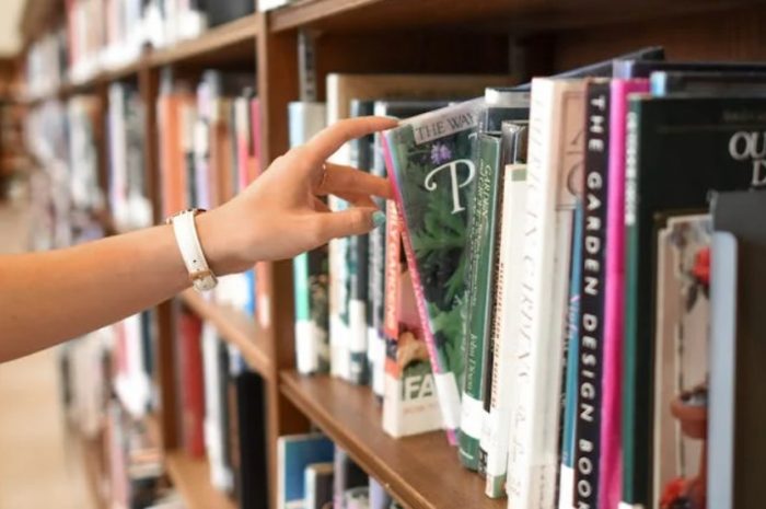 【꿈해몽】도서관에서 일하는 꿈: 9가지 의미와 상징