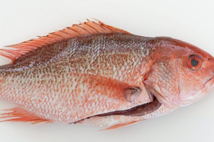 【꿈해몽】도미 사시미 꿈: 6가지 의미와 상징