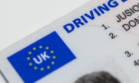 【꿈해몽】운전면허증을 깜빡하는 꿈: 6가지 의미와 상징