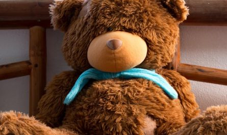 【꿈해몽】봉제 인형을 꿈꾸다: 10가지 의미와 상징